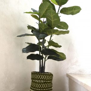 Cestino semi rigido universale